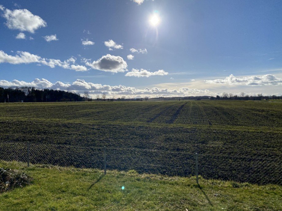 Blick von Terrasse Zweifamilienhaus Neu-Ulm