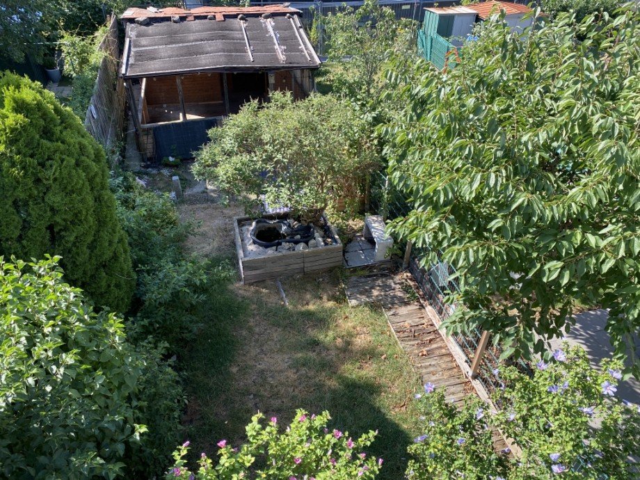 Blick in den Garten Reihenmittelhaus Wei�enhorn